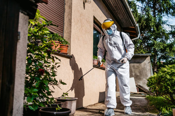 Best Emergency Pest Control  in Colleyville, TX